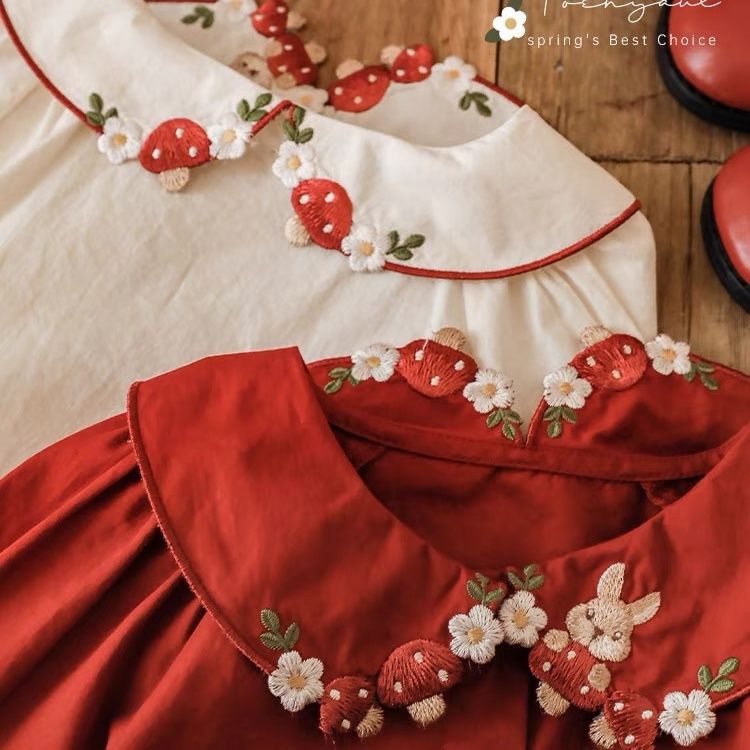 Brand Cute Girls Shirts Spring - đánh giá và giá Baby Clothing Brand
